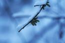 neve vezzano rio 3